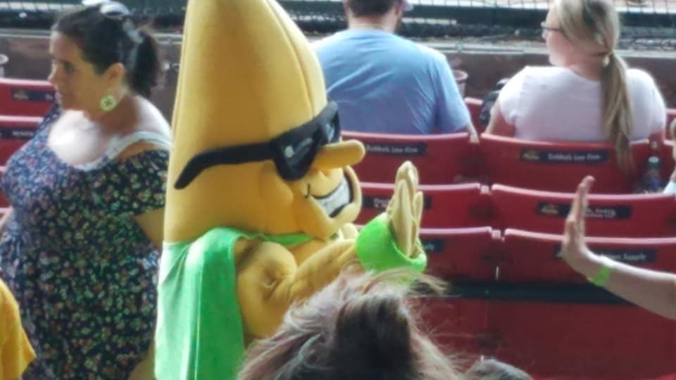 Banana-in-stands